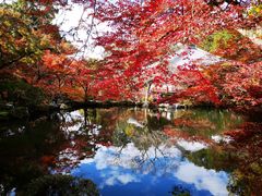 -醍醐寺