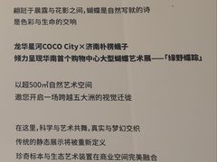 -深圳龙华星河COCO City(民治店)