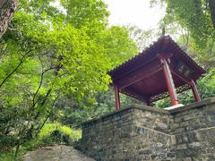 -北极阁公园