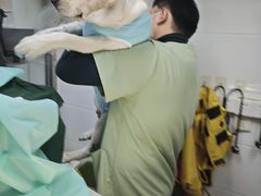 -达爱动物医院·犬猫分区·CT·复杂眼科(远洋山水分院)