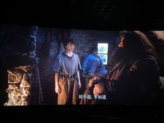 -汉阳天河电影城(王家湾店)