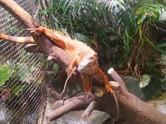 -上海大自然野生昆虫馆