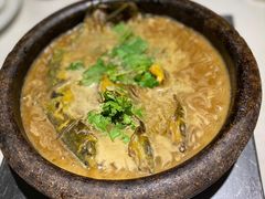 白洋淀石锅嘎鱼-小放牛炒菜馆(裕华万达店)