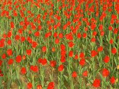 -长春公园(普阳街道)