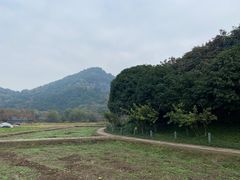 -八卦田遗址公园