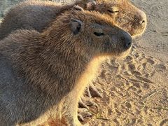 -茅山东方盐湖城景区