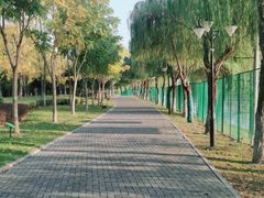 -汉江湾体育公园