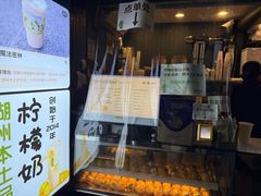 -猫的魔法密林(衣裳街店)