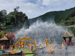 -西双版纳原始森林公园