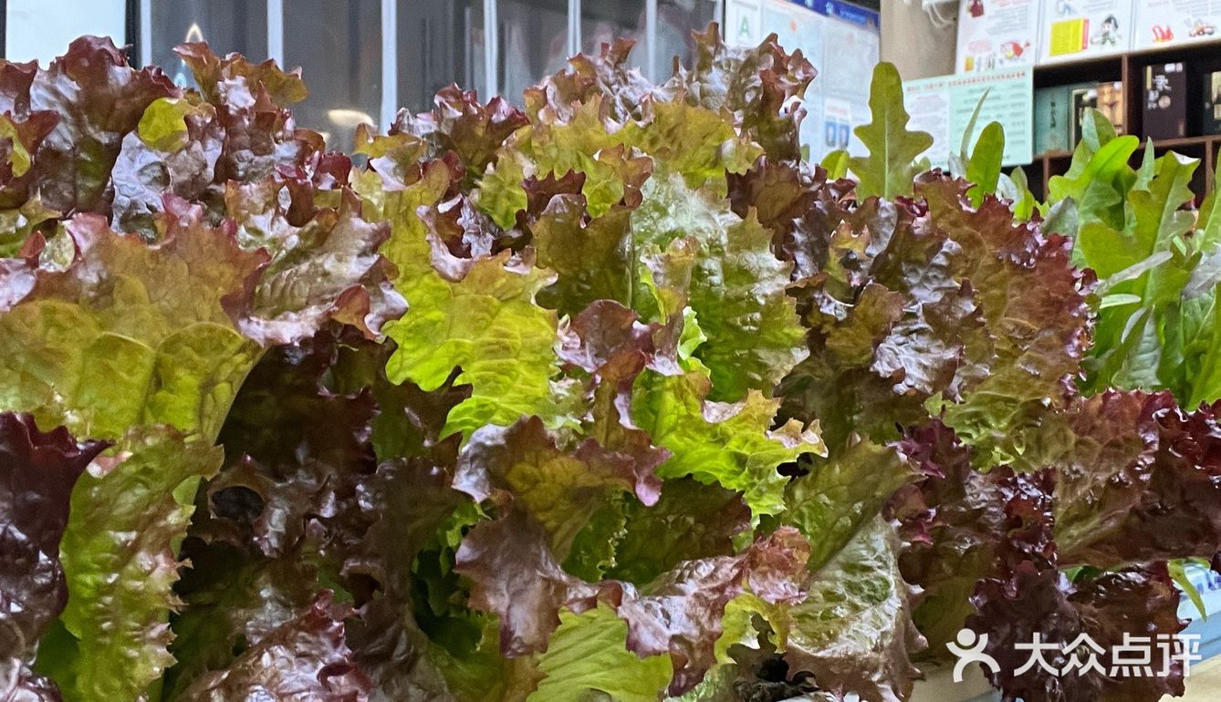 潮汕牛肉火锅是越来越火了