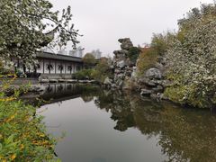 -梅园