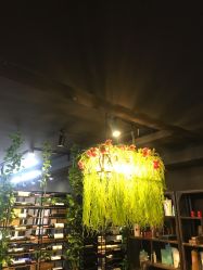 -藤野造型