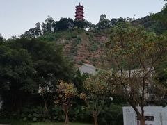 -南沙蒲洲花园