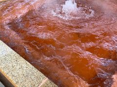 -春晖园度假酒店温泉