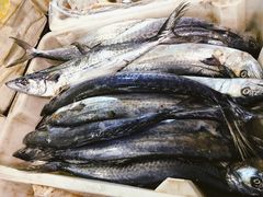 -芦潮港集贸市场