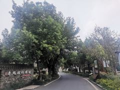 -东梓关景区村庄