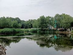 -望湖公园