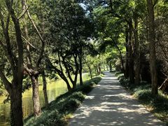 -日照海滨国家森林公园