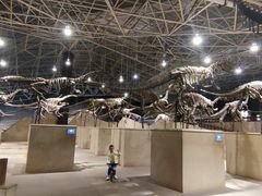 -世界恐龙谷景区