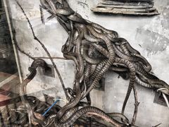 -荔城生鲜盛宴(番禺旗舰店)