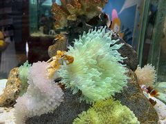 -太平洋海底世界