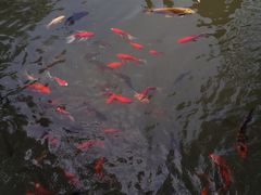 -皇城相府