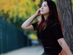 -三里屯东五街银杏大道