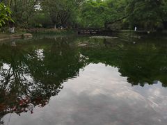 -望江楼公园