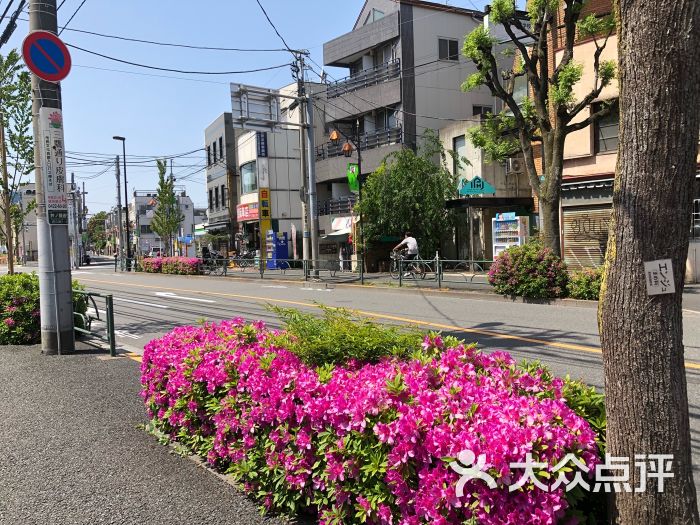 武蔵野北高校-图片-东京景点玩乐-大众点评网