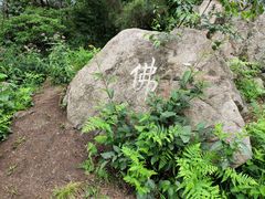 -冶父山国家森林公园