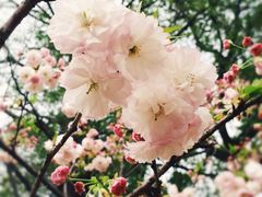 -敬亭山风景名胜区