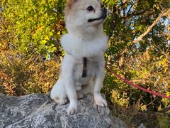 -帽儿山国家森林公园