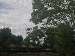 景观位-马帮寨绿地农庄店