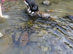 -北仑森林植物园