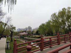 -元大都城垣遗址公园