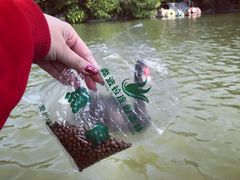 -森波拉火山温泉