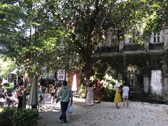 -涠洲岛-圣母堂