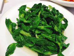 清炒豆尖-峨嵋酒家总店(车公庄店)