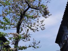 -荣阳楼(山塘街店)