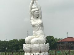 -荷塘月色湿地公园·向阳花洲