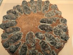 -安徽省地质博物馆