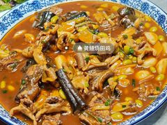 -呼吸森林·生态农庄农家乐私房菜