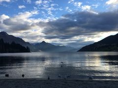 -Fergburger(皇后镇店)