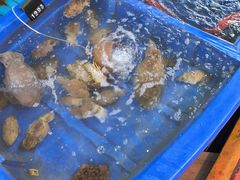 -蓝湾碧波·老字号·疍家非遗海上餐厅