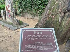 -青岛崂山太清宫
