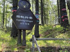 -阿尔山市大兴安岭奥伦布坎景区