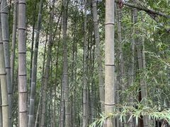 -丹山赤水风景名胜区