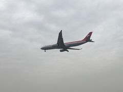 -空港花田景区