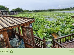 -东昌湖风景区