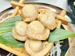 帆立贝-争鲜回转寿司(朝北大悦城店)